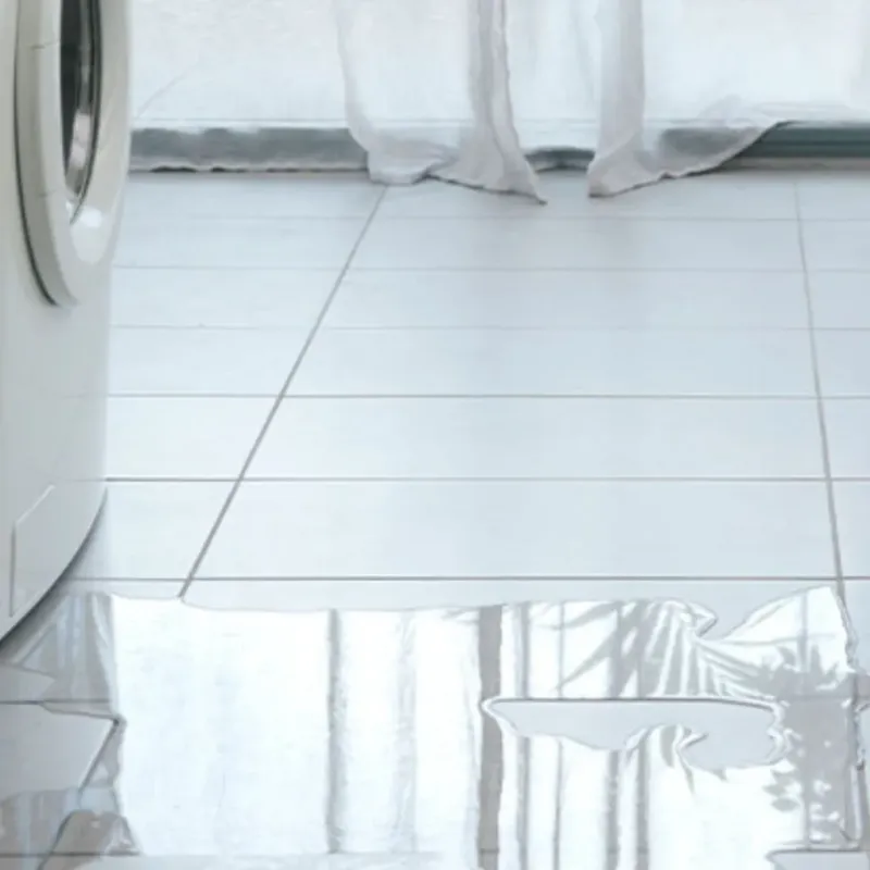 Appliance Leak Cleanup in Rockville, IN