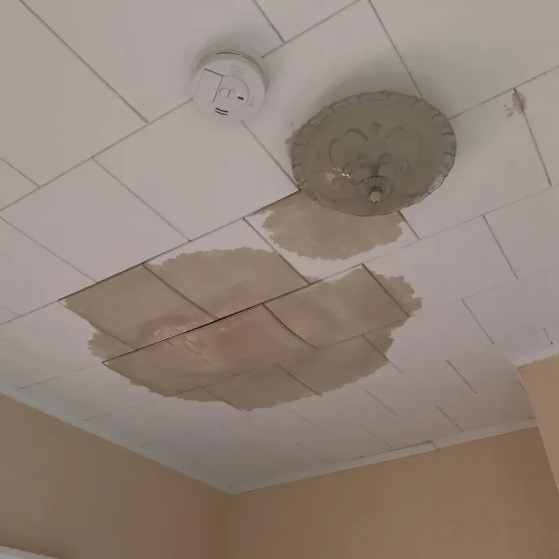 Ceiling Water Damage Repair in Rockville, IN