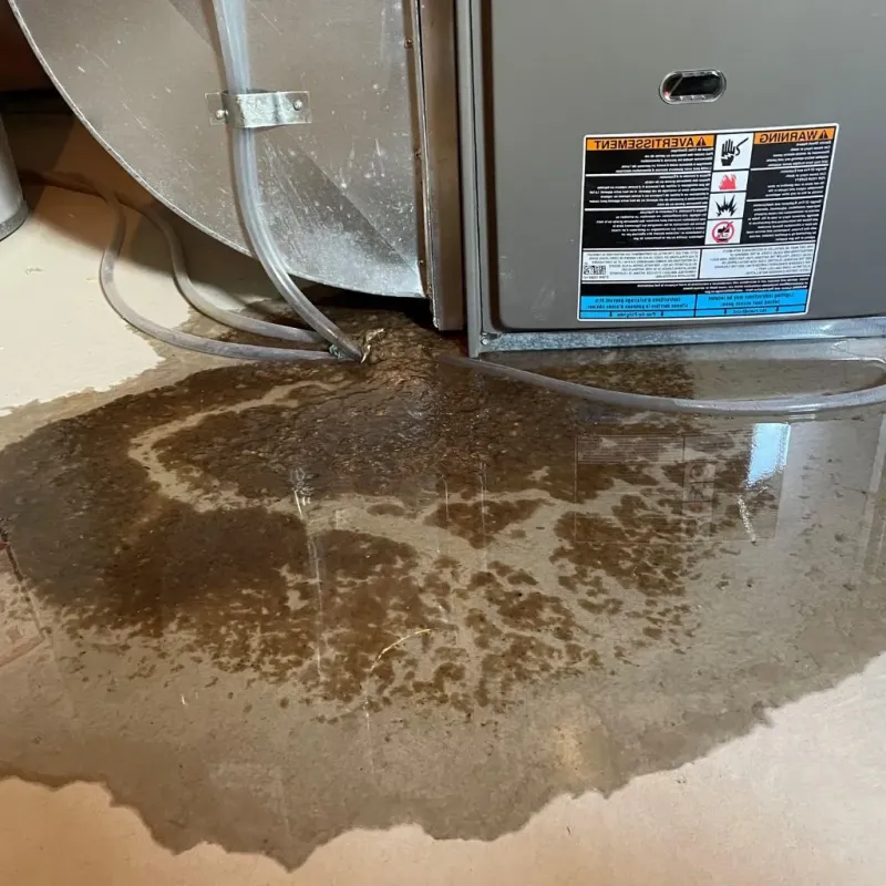 Pipe Burst and Leak Restoration in Rockville, IN