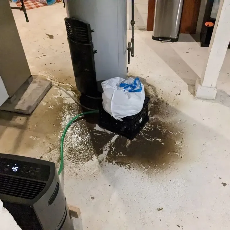 Sewage Backup Cleanup Service in Rockville, IN